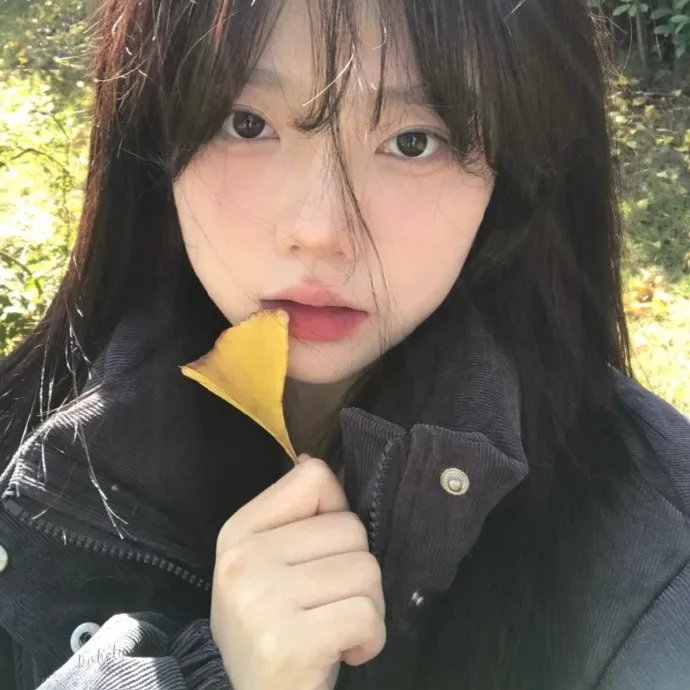 我叫哀木涕之山口山战记